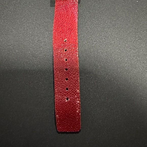 Roberto Cavalli Red and Silver Watch main image 9
